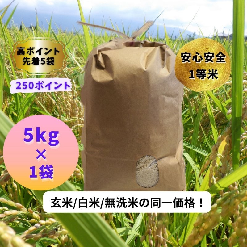 【高ポイント】【令和４年長野県産コシヒカリ5kg】 小さいお子様にも安心、手間をかけた残留農薬のない安心安全１等米！ ”腸育みtea 温活ノンカフェインブレンド茶 2回分”をプレゼント！