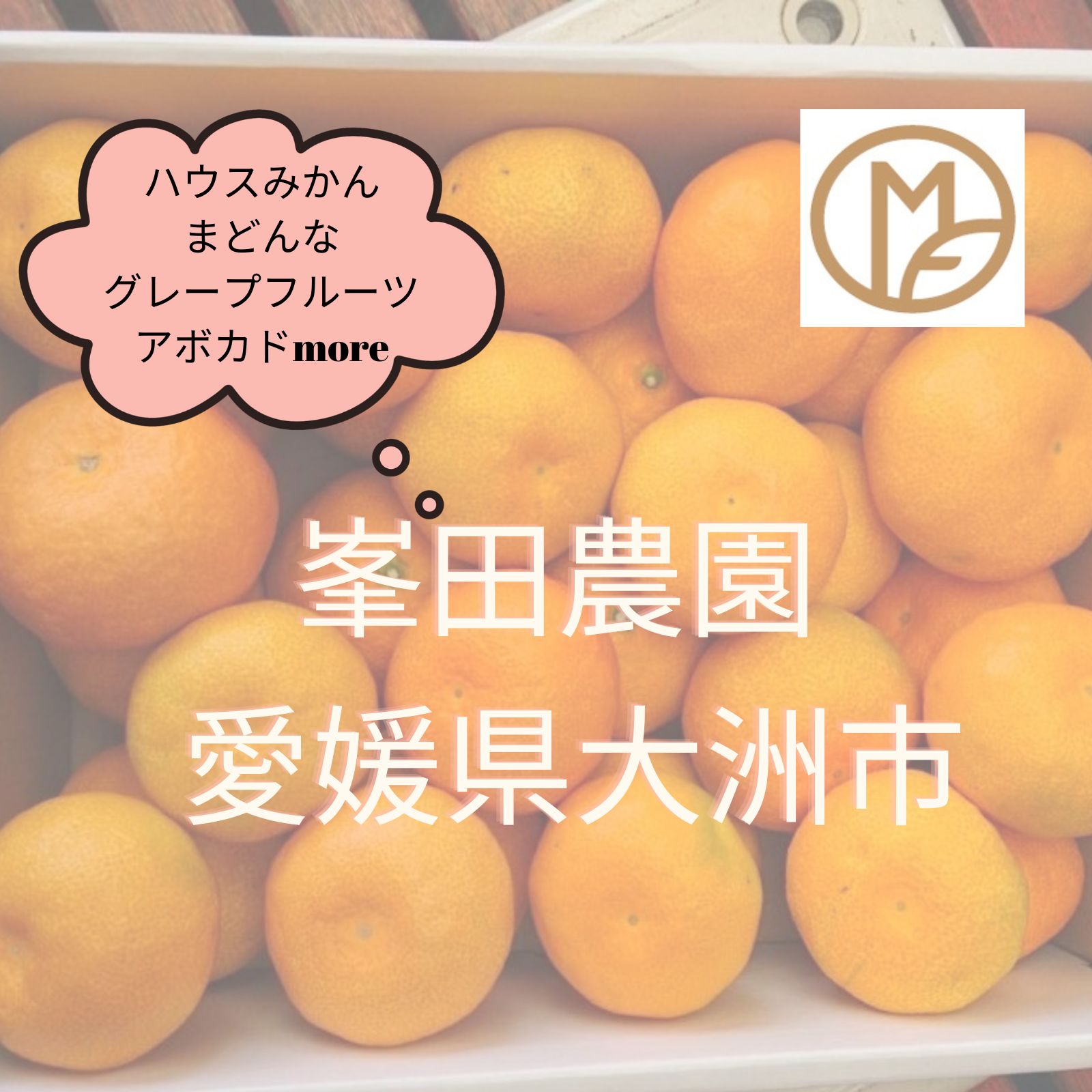 峯田農園】愛媛県産 無農薬レモン 約2kg(約15個入り)