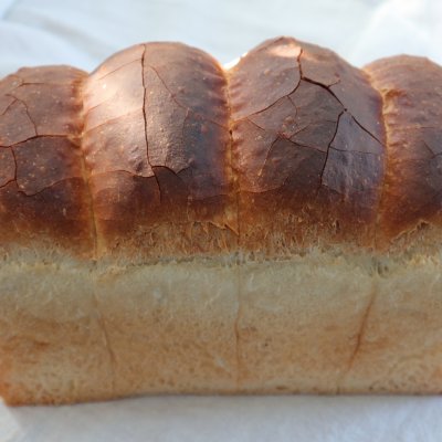 小麦そのものの味わいを楽しめる　からだにやさしい食パン（2斤/1本）