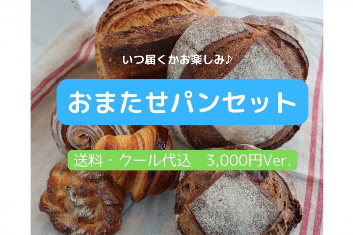 【送料込】何が届くかお楽しみ♪「お待たせパンセット」3000円Ver.