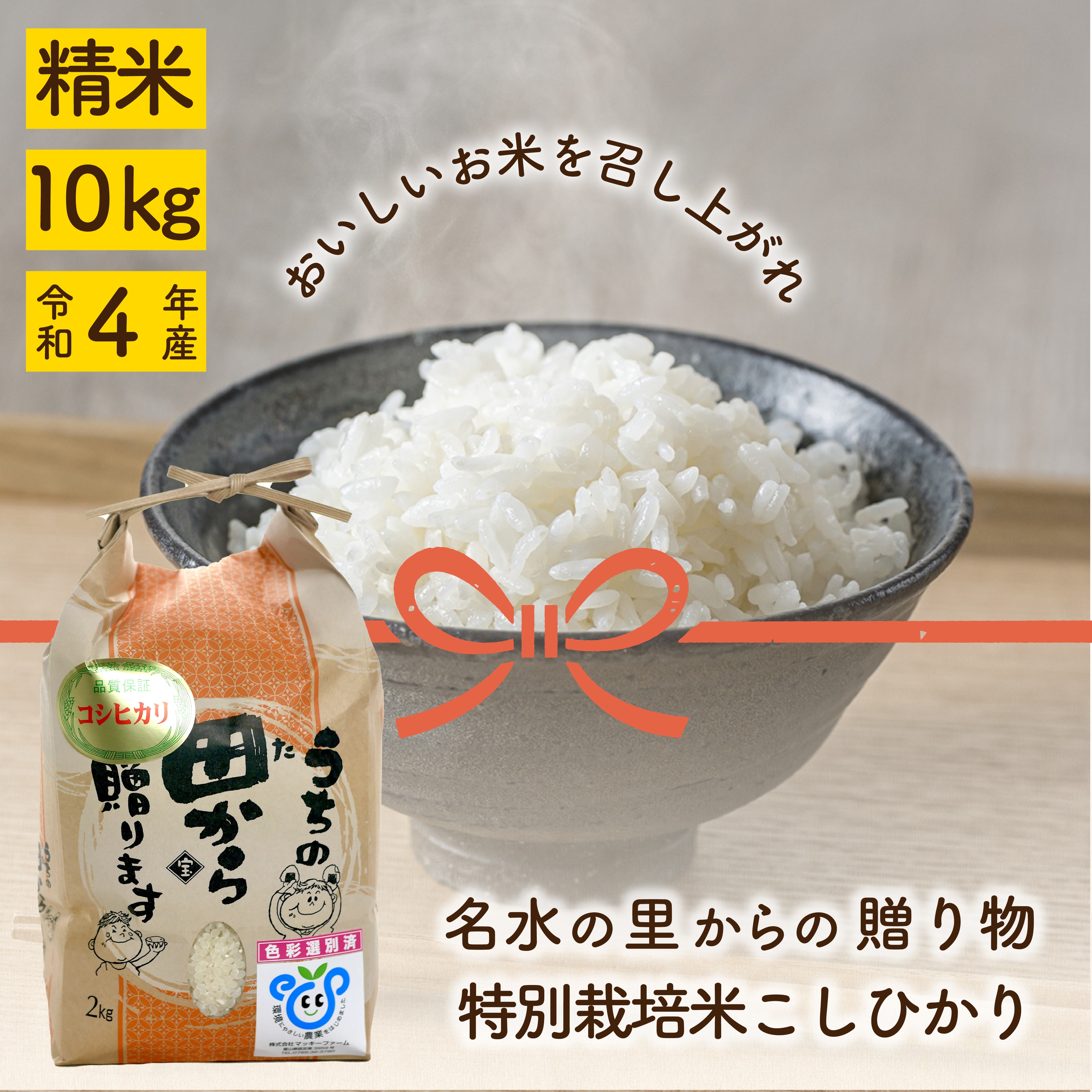令和４年産　コシヒカリ白米10kg（5kg×2袋）　特別栽培米　送料無料