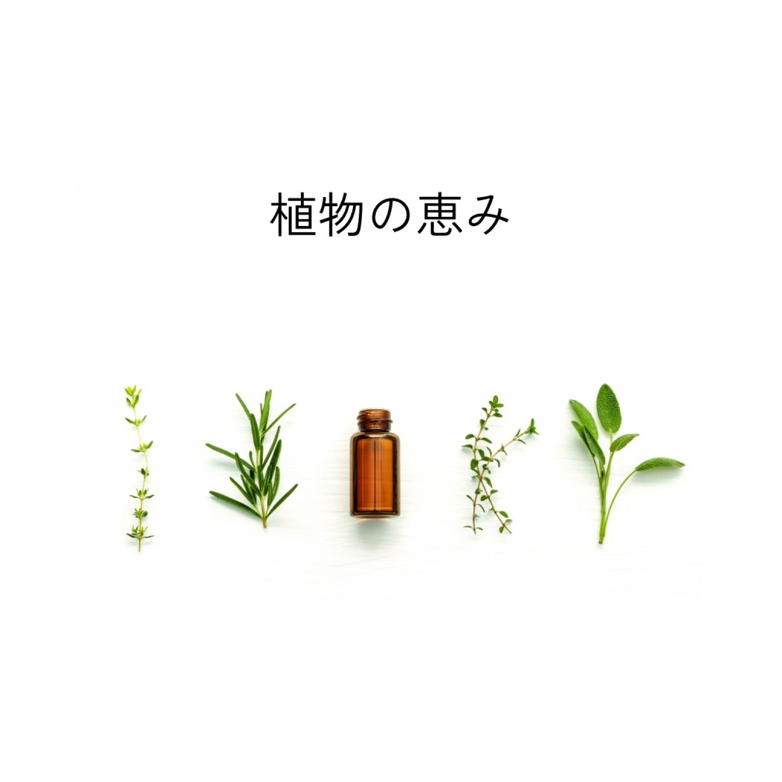 【初回限定】香りとフェザータッチヒーリング
