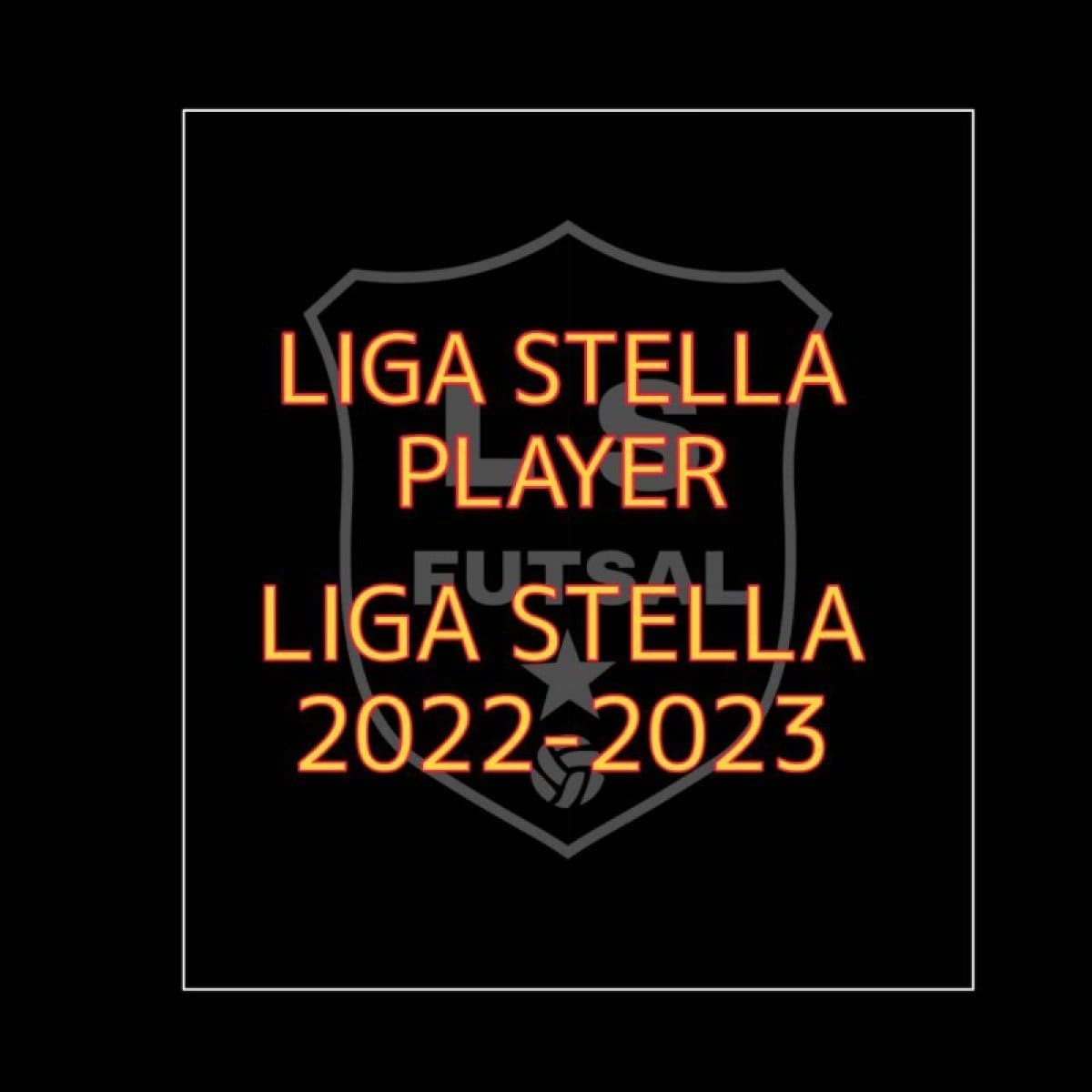 LIGA STELLA  2022-2023 選手年間登録費
