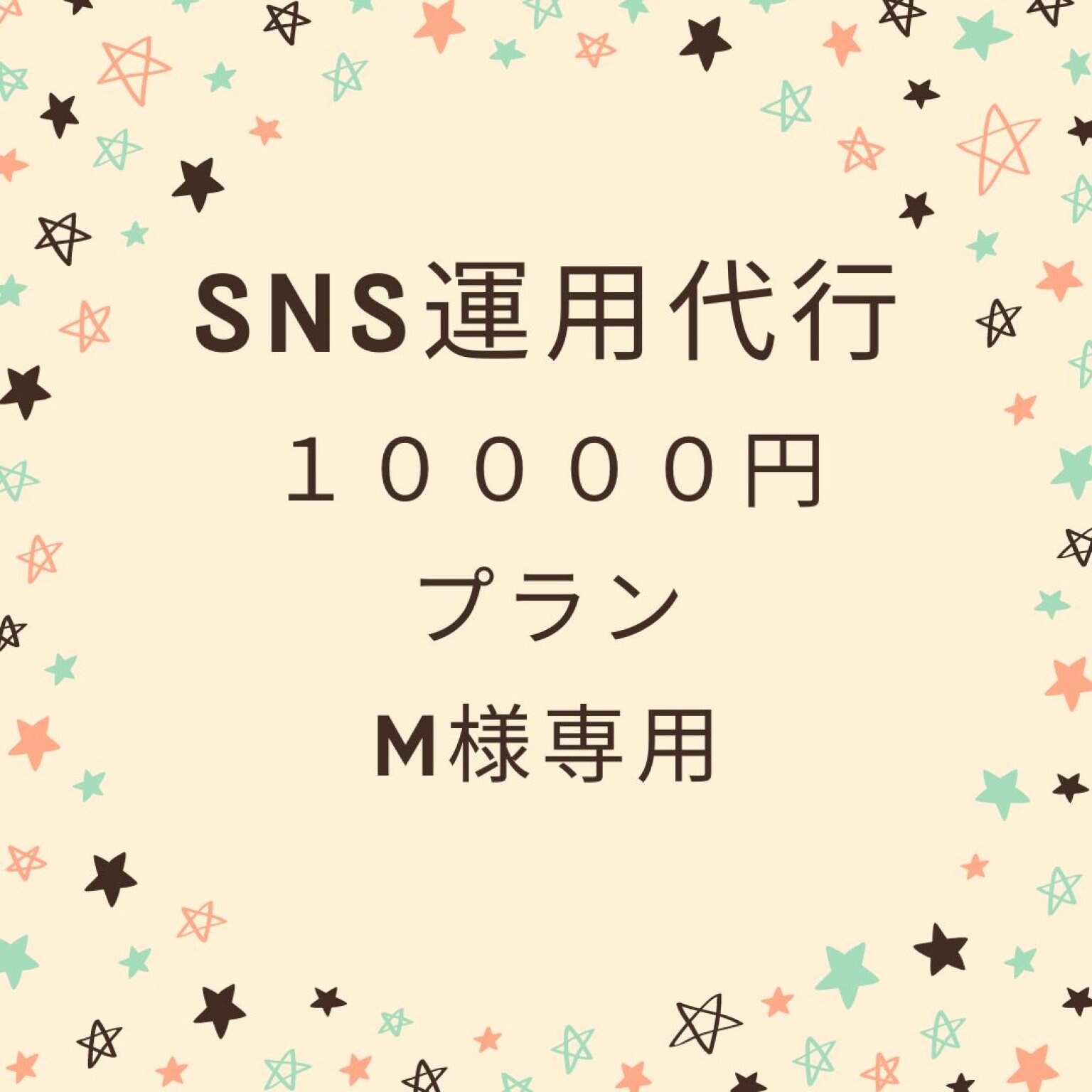 SNS運用代行１００００円M様専用