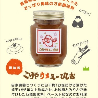 ☆大人気☆　こりゃウメぇ〜梅びしお　１５..