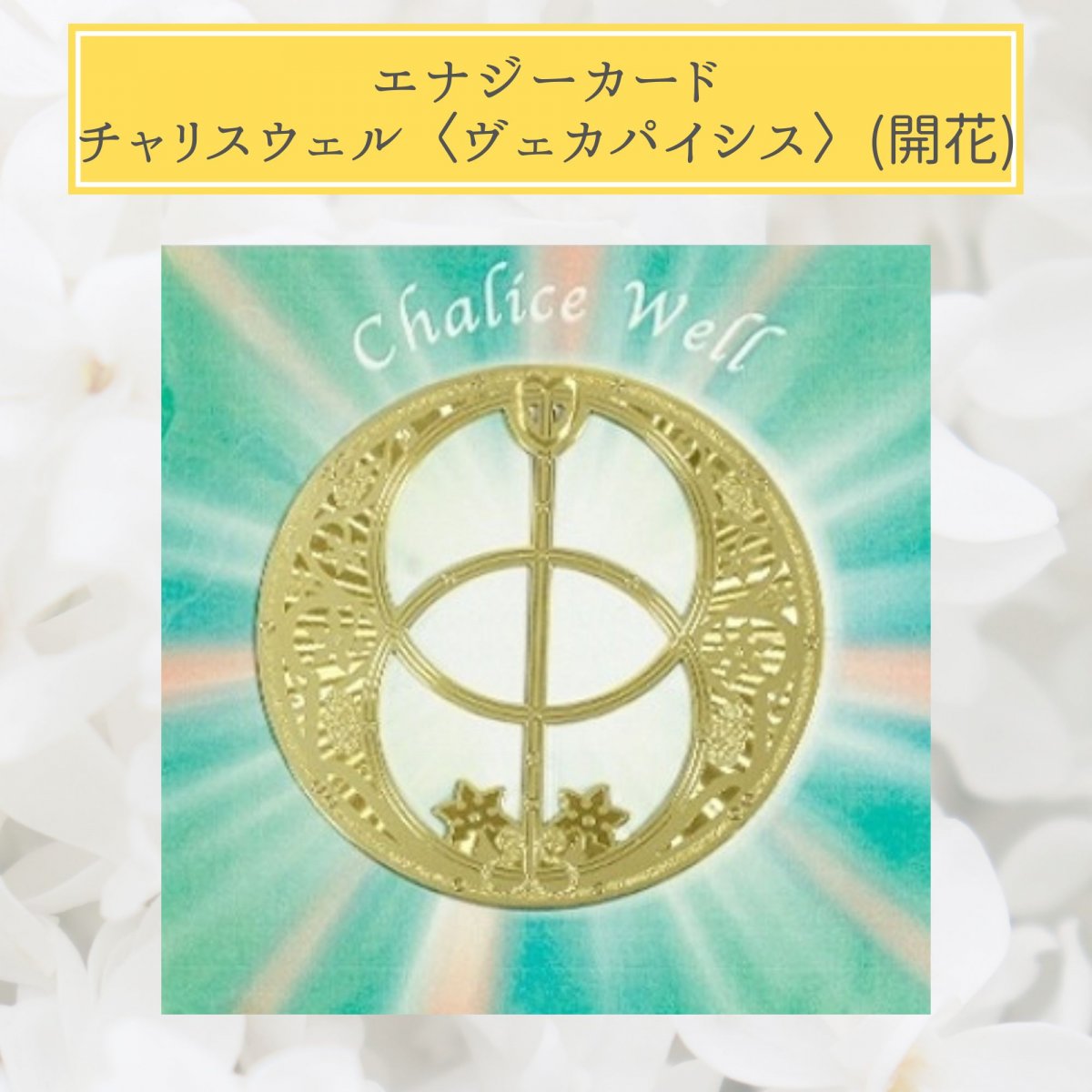 【Crystal Mind】チャリスウェル(ヴェシカパイシス) 〔開花〕 /エナジーカード