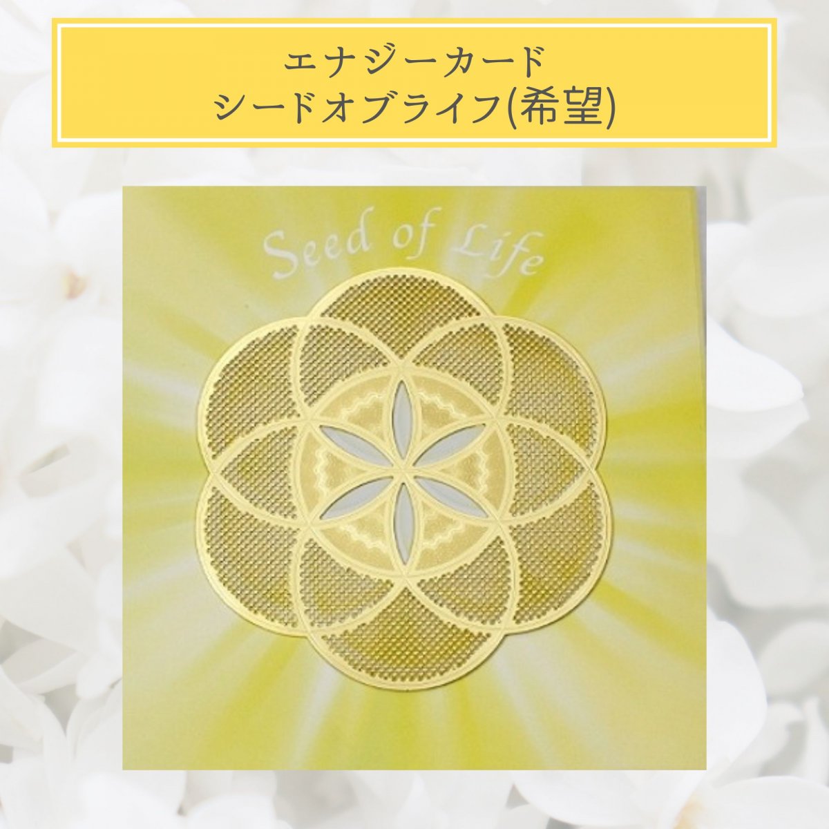 【Crystal Mind】　シードオブライフ 〔希望〕 /エナジーカード