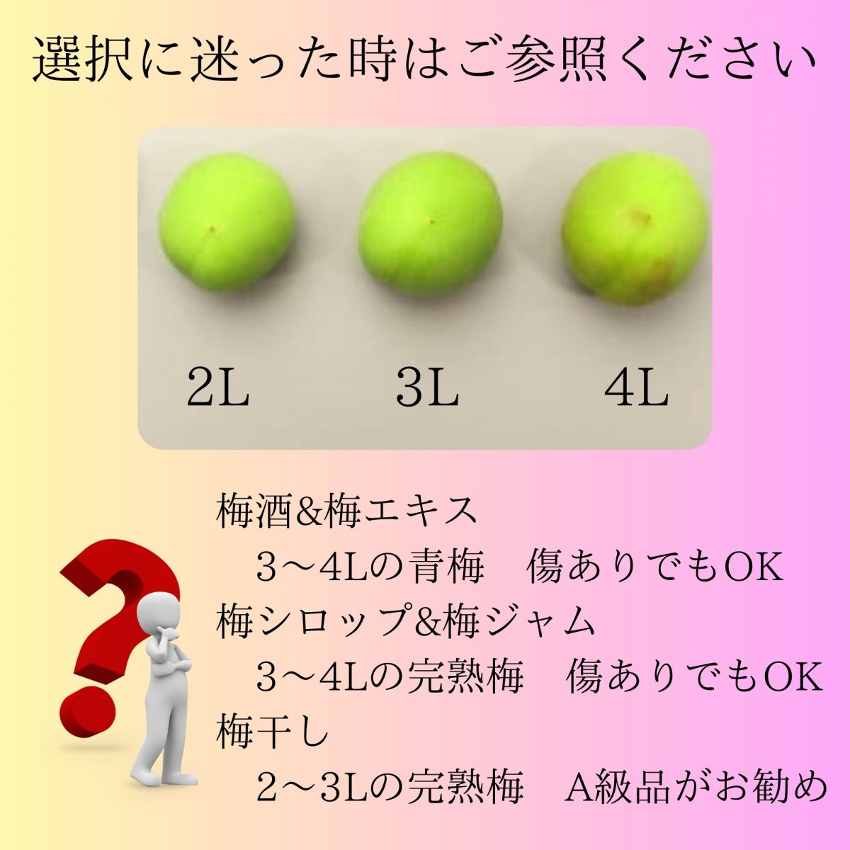 みなべの南高梅 完熟梅 傷ありB級品３~４L １キロ〜|viva Salute ...