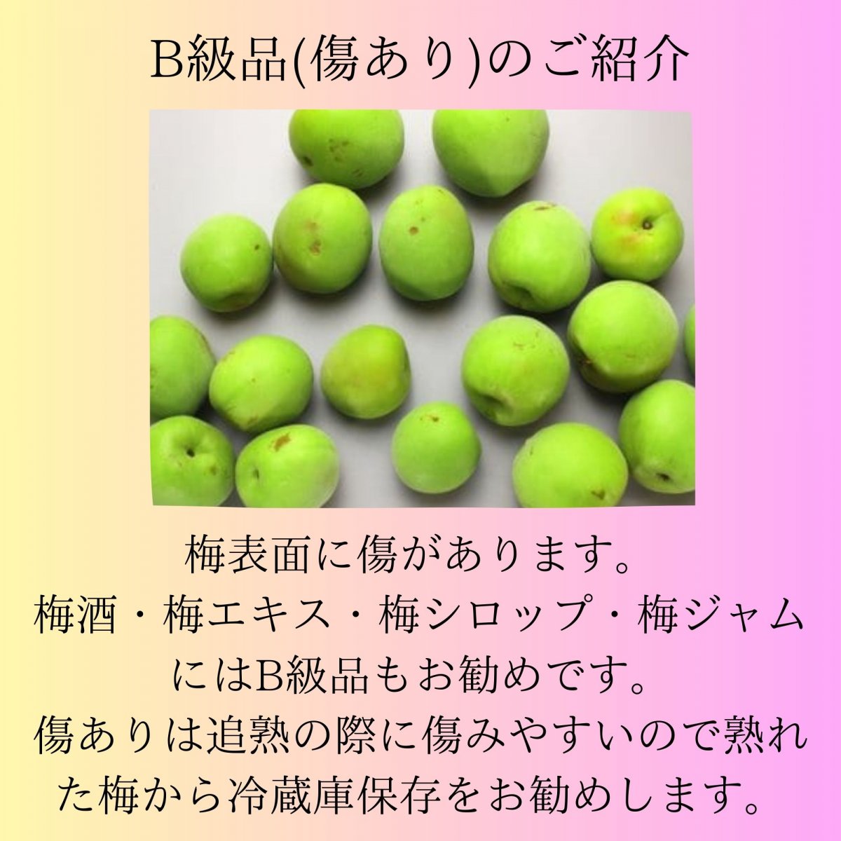 みなべの南高梅 完熟梅 傷ありB級品３~４L １キロ〜|viva Salute ...