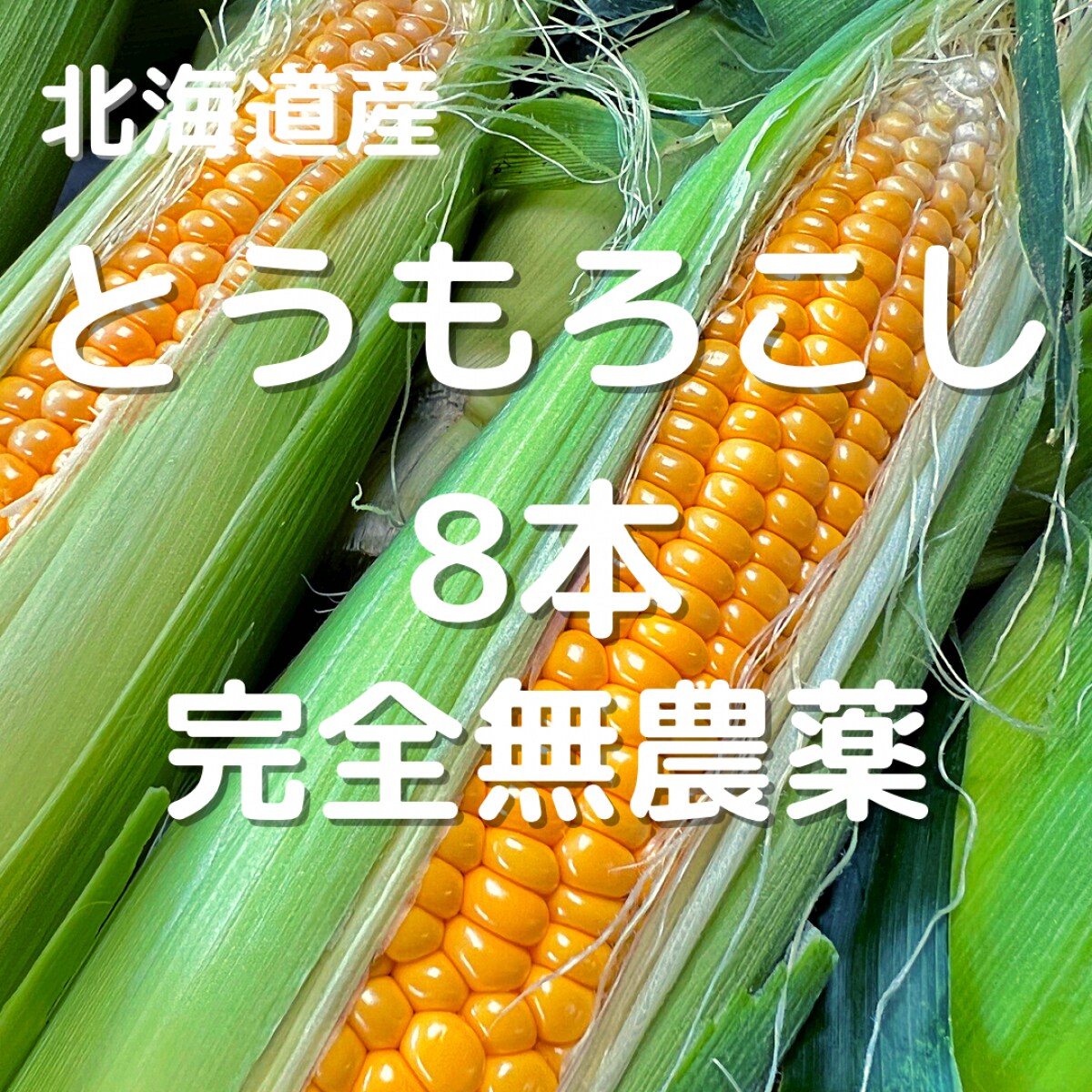 国内在庫 とうもろこし 完全無農薬 北海道産 Www Jashimuddin Edu