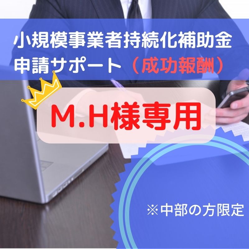 M.H様専用]小規模事業者持続化補助金申請サポート（成功報酬） - アイビーおきなわ行政書士事務所