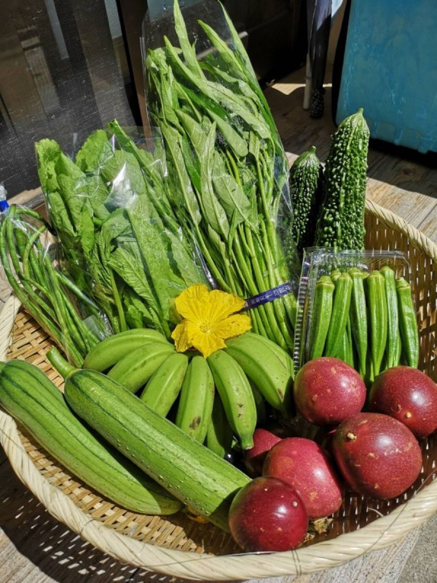 沖縄島野菜705ちゅらfarm