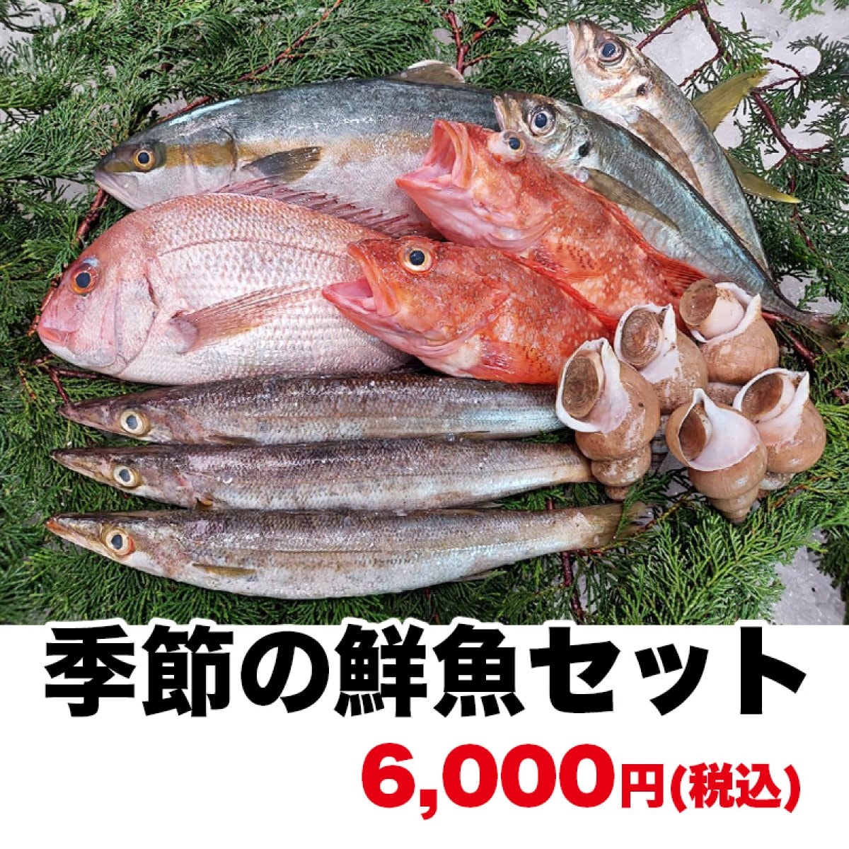 お値打ち♪朝どれ!日本海の鮮魚セット/下処理もプロにお任せください！6000円