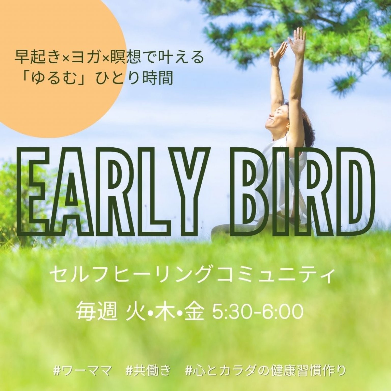 Early Bird シンプルプラン
