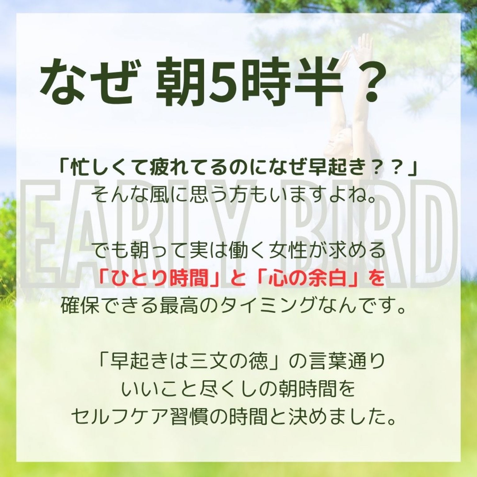Early Bird シンプルプラン