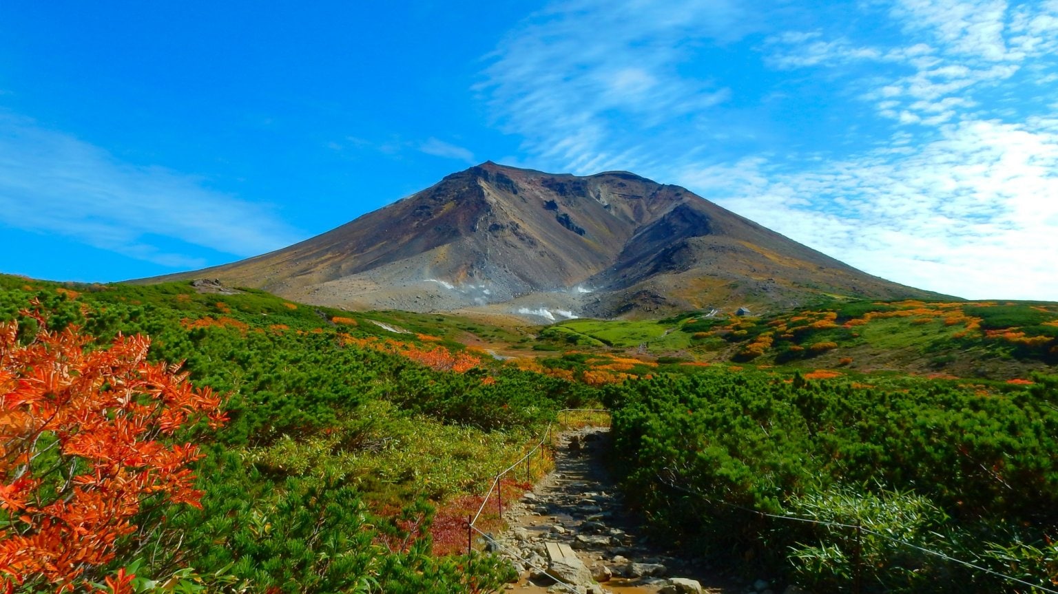 Daisetsuzan National Park Highlights – One-Day Nature Tour Explore Three Unique Ecosystems: Alpine Zone, Highland Wetland, and Spruce Forest  大雪山国立公園　3つの森を巡る旅  　～高山帯・高層湿原・アカエゾマツの森を歩く～   （English・日本語）
