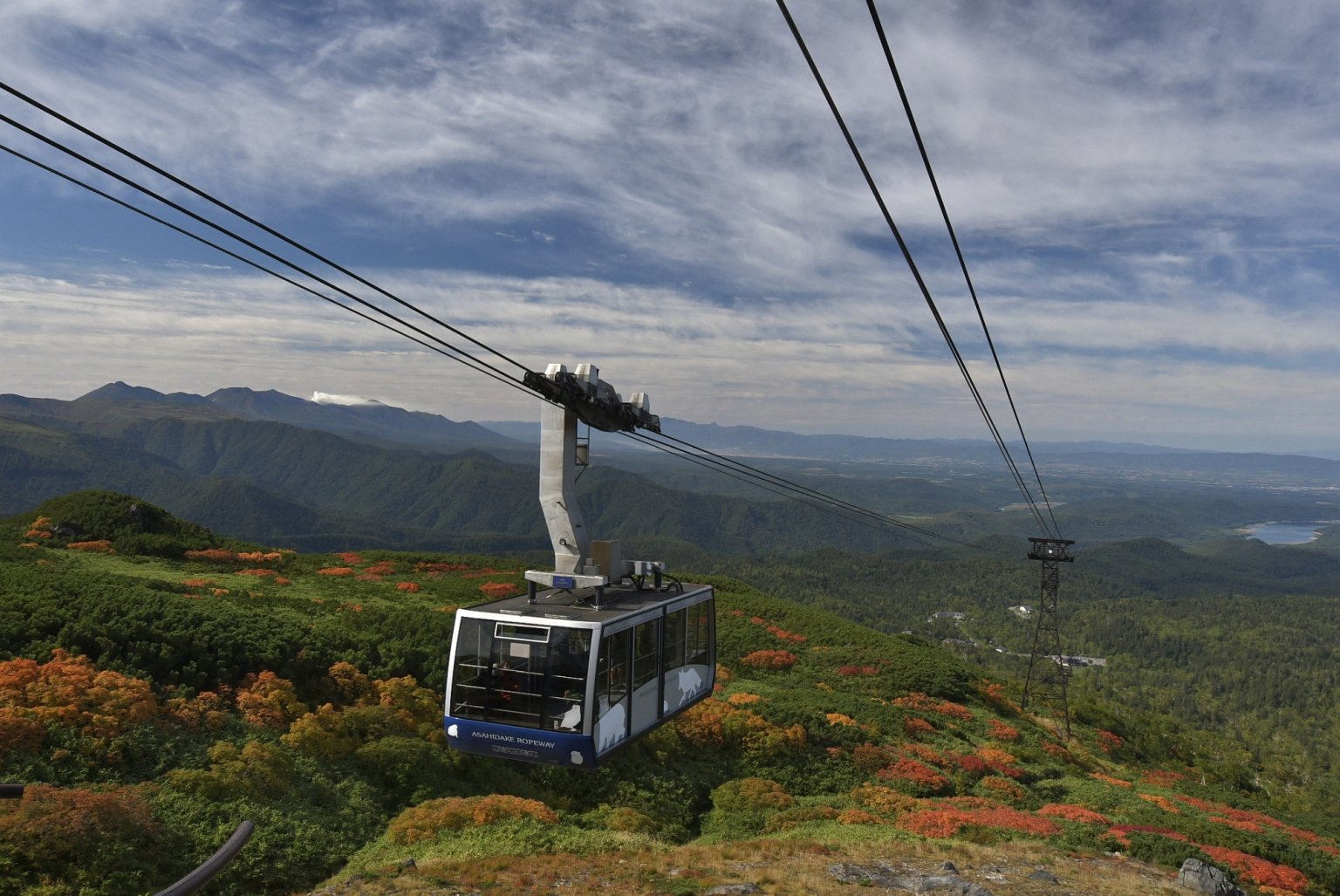 Daisetsuzan National Park Highlights – One-Day Nature Tour Explore Three Unique Ecosystems: Alpine Zone, Highland Wetland, and Spruce Forest  大雪山国立公園　3つの森を巡る旅  　～高山帯・高層湿原・アカエゾマツの森を歩く～   （English・日本語）
