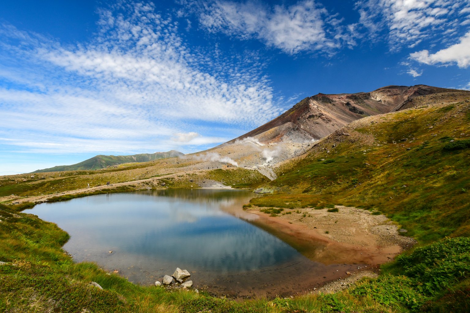 Daisetsuzan National Park Highlights – One-Day Nature Tour Explore Three Unique Ecosystems: Alpine Zone, Highland Wetland, and Spruce Forest  大雪山国立公園　3つの森を巡る旅  　～高山帯・高層湿原・アカエゾマツの森を歩く～   （English・日本語）