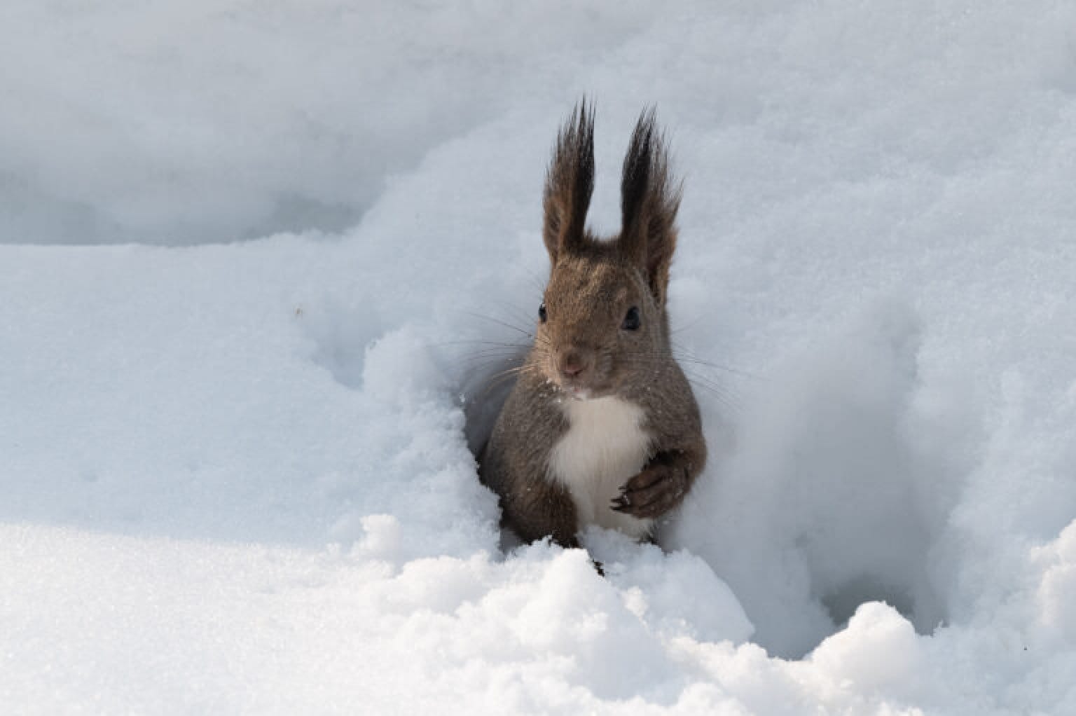 Wilde Life Wacthing Tour　〜ワイルドライフウォッチングツアー〜
