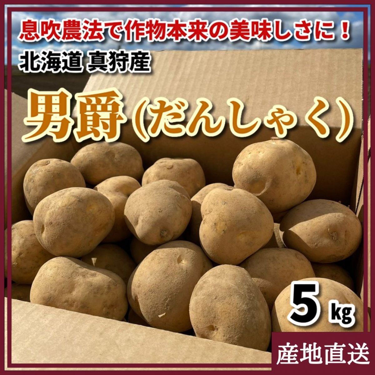 北海道　じゃがいも　ノーザンルビー　8kg ジャガイモ　ほくほく　旨い！