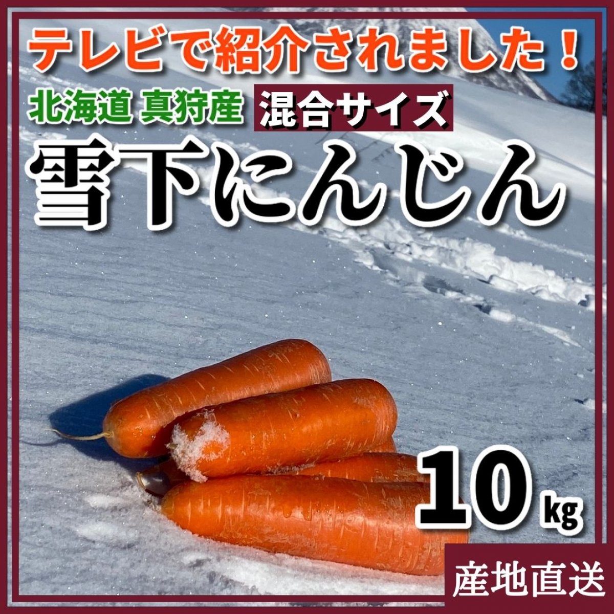 【希少！春限定】雪下にんじん （洗い）10kg　混合サイズ　北海道　真狩村　雪の下