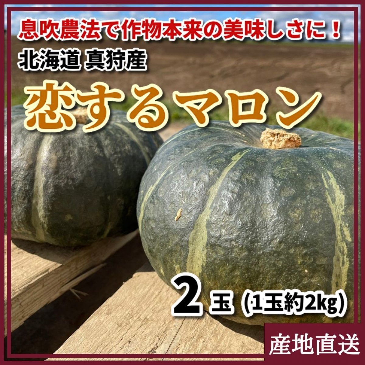 北海道産かぼちゃ「恋するマロン」 2玉（1玉約2kg） 北海道 真狩産