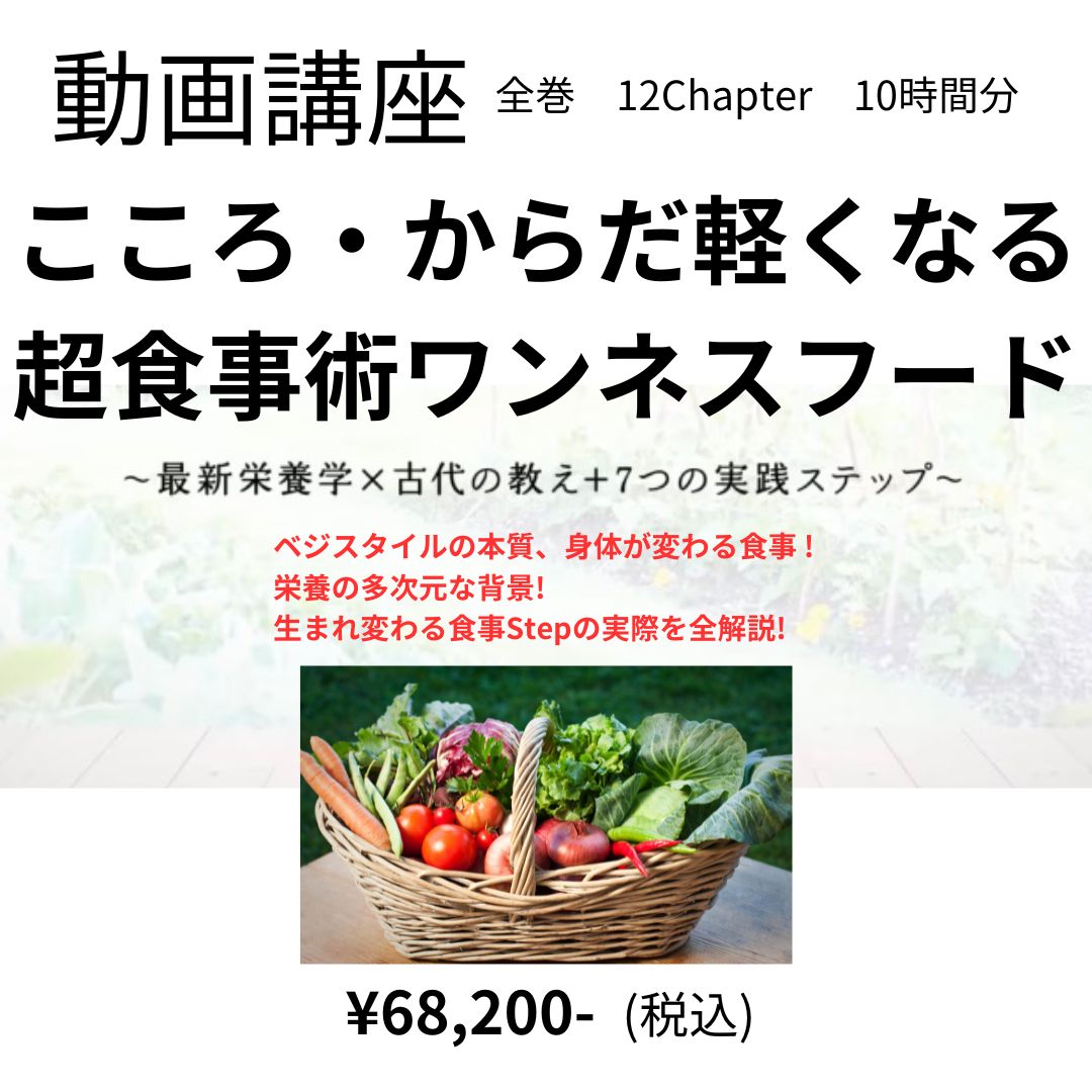 最新　実践栄養学講座　全１４巻セット 最新 実践栄養学講座 全14巻セット （社会福祉士・精神保健