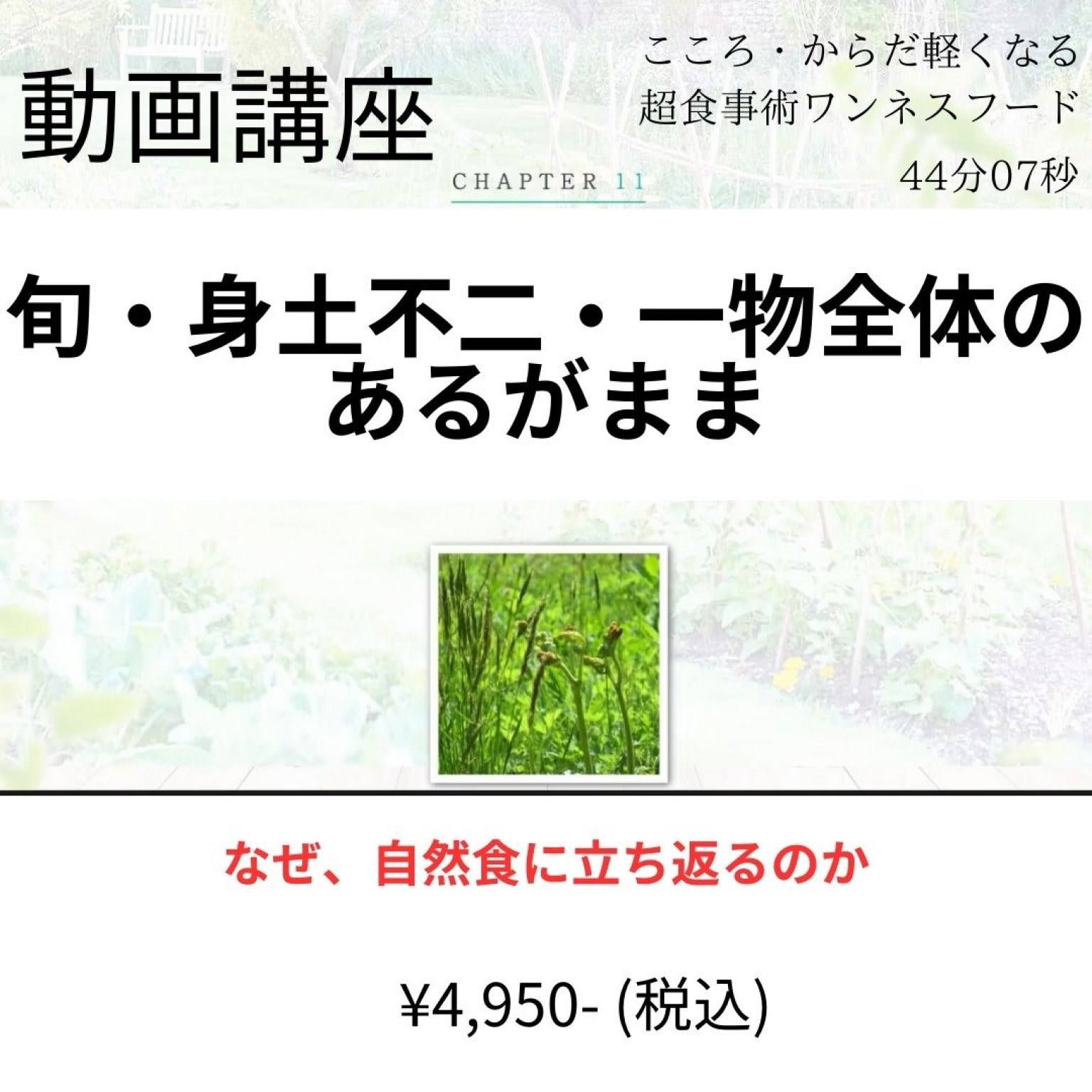 動画講座「旬・身土不二・一物全体のあるがまま」【44分07秒】