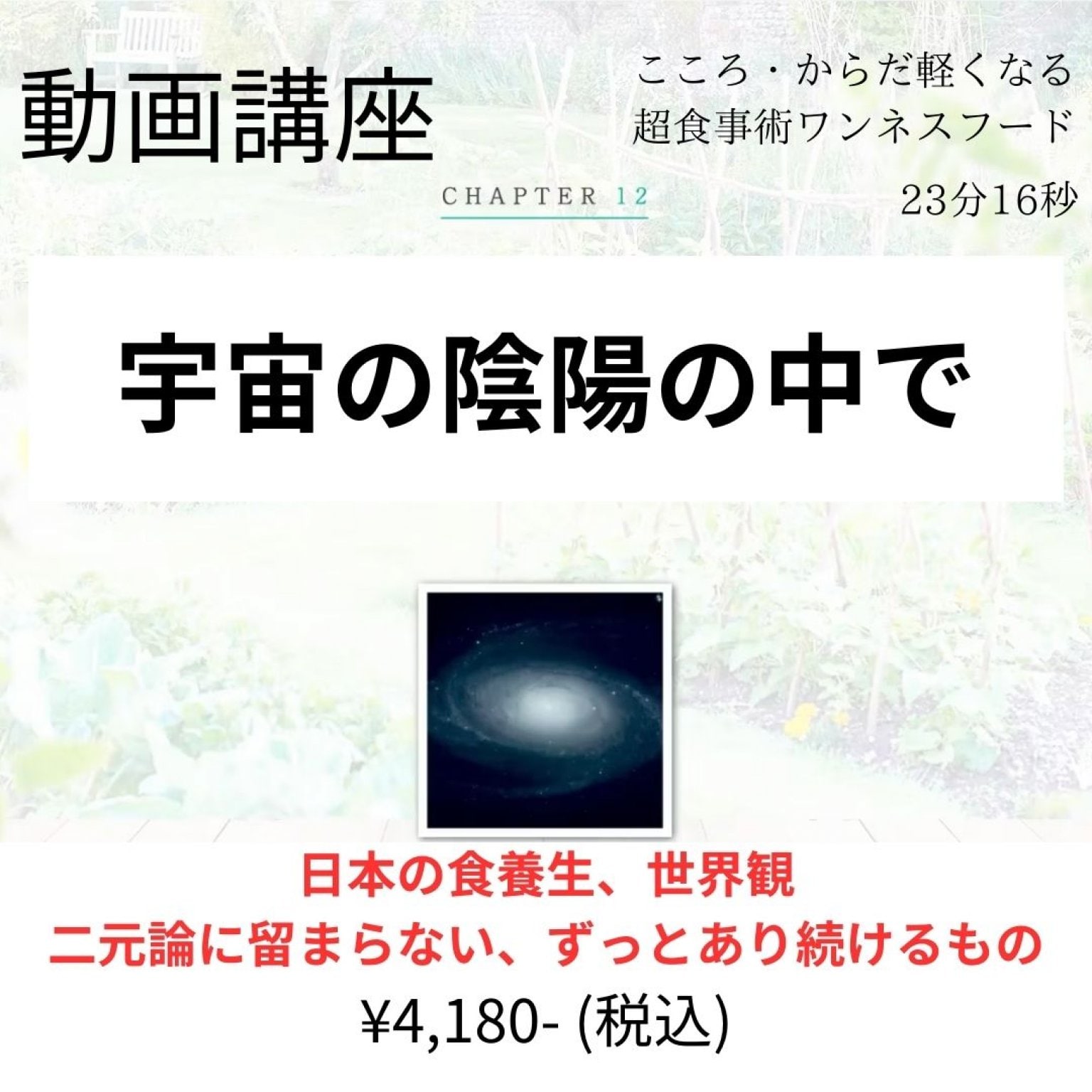 動画講座「宇宙の陰陽の中で」【23分16秒】