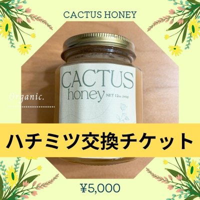 【オーガニックハチミツ】CACTUS HONEY ※現地取引限定