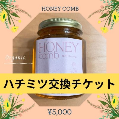 【オーガニックハチミツ】HONEY comb ※現地取引限定