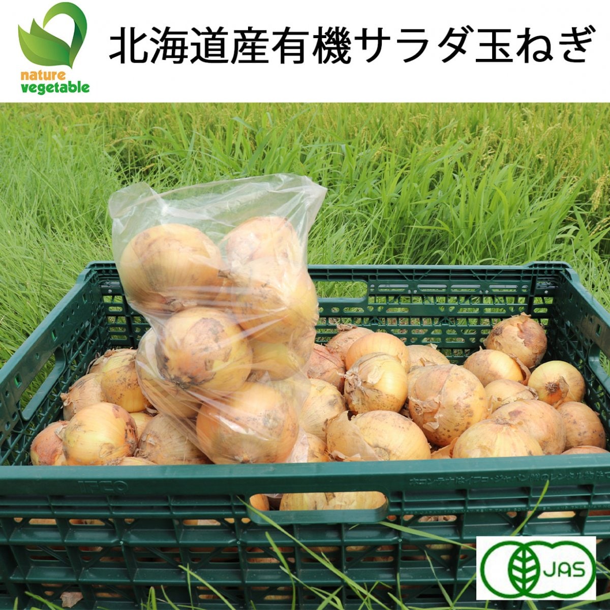 野菜 M15kg S 10kg 株式会社トップエムファーム有機野菜通販SHOP-ツクツク!!