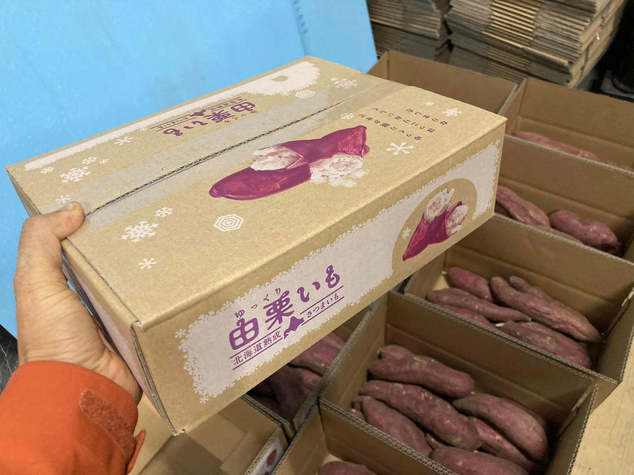 10月下旬から発送！由栗いもミニBOX【約1．5kg入り】高ポイント