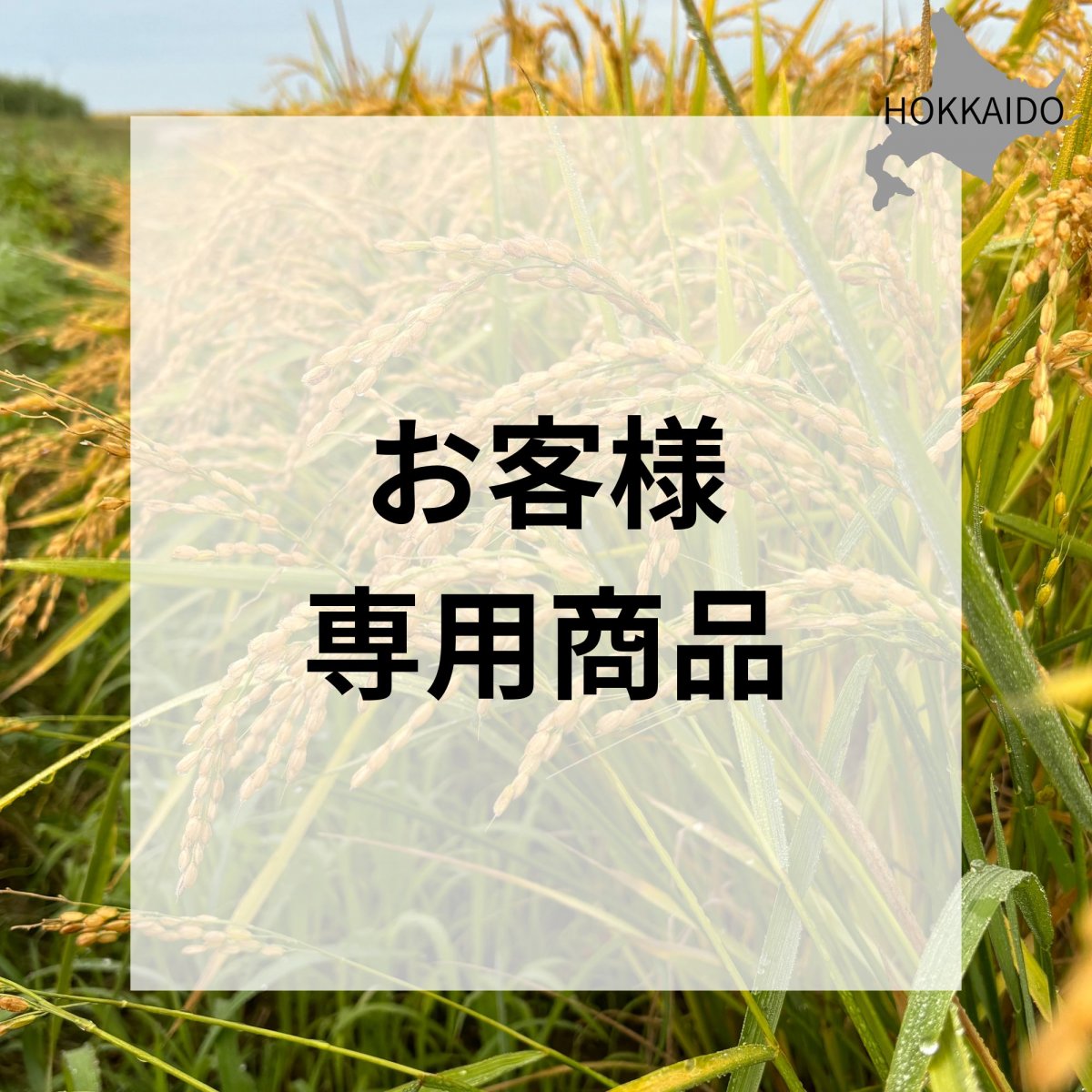 【MAMI.I様専用】令和7年北海道長沼町ゆめぴりか/年間契約【2026年1月から９月まで毎月15㎏コース】　平田農園