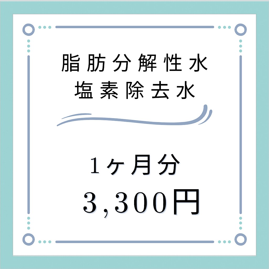 ☆専用☆マグソフィア 脂質分解磁気浄活水器 （脂肪分解性水