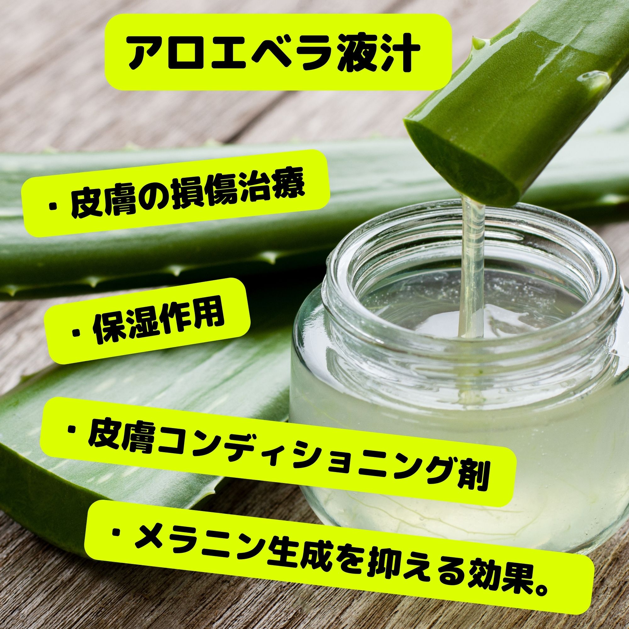 Takk SKIN CARE LOTION 』タック スキン ケア ローション