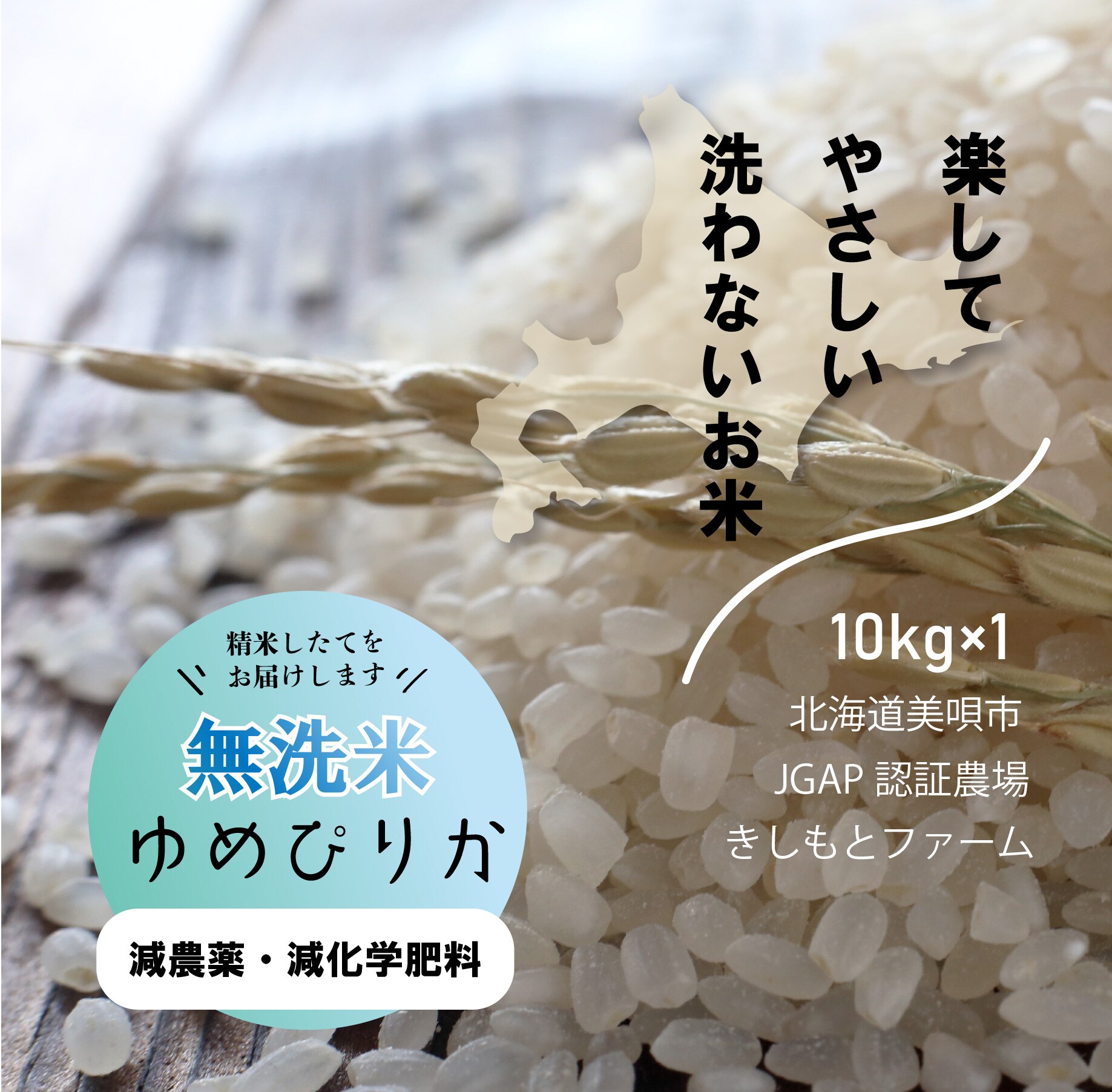 翌日配送可能 【幻のお米】令和5年新米七夕こしひかり20kg お米 特別