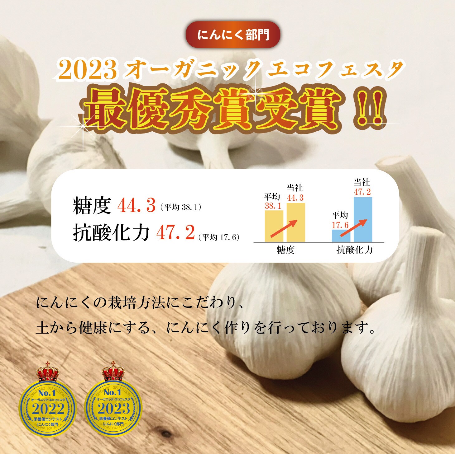 にんにく 楽天市場】きざみにんにく オリーブオイル 国産 115g トースト