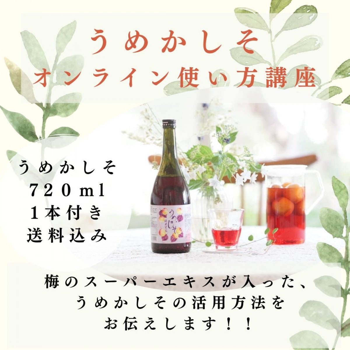 うめかしそ　オンライン使い方講座