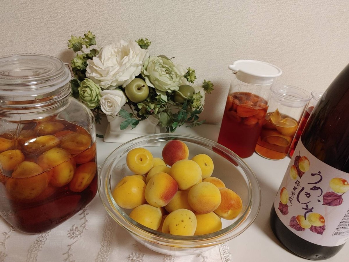 梅天女クリーム　オンライン使い方講座