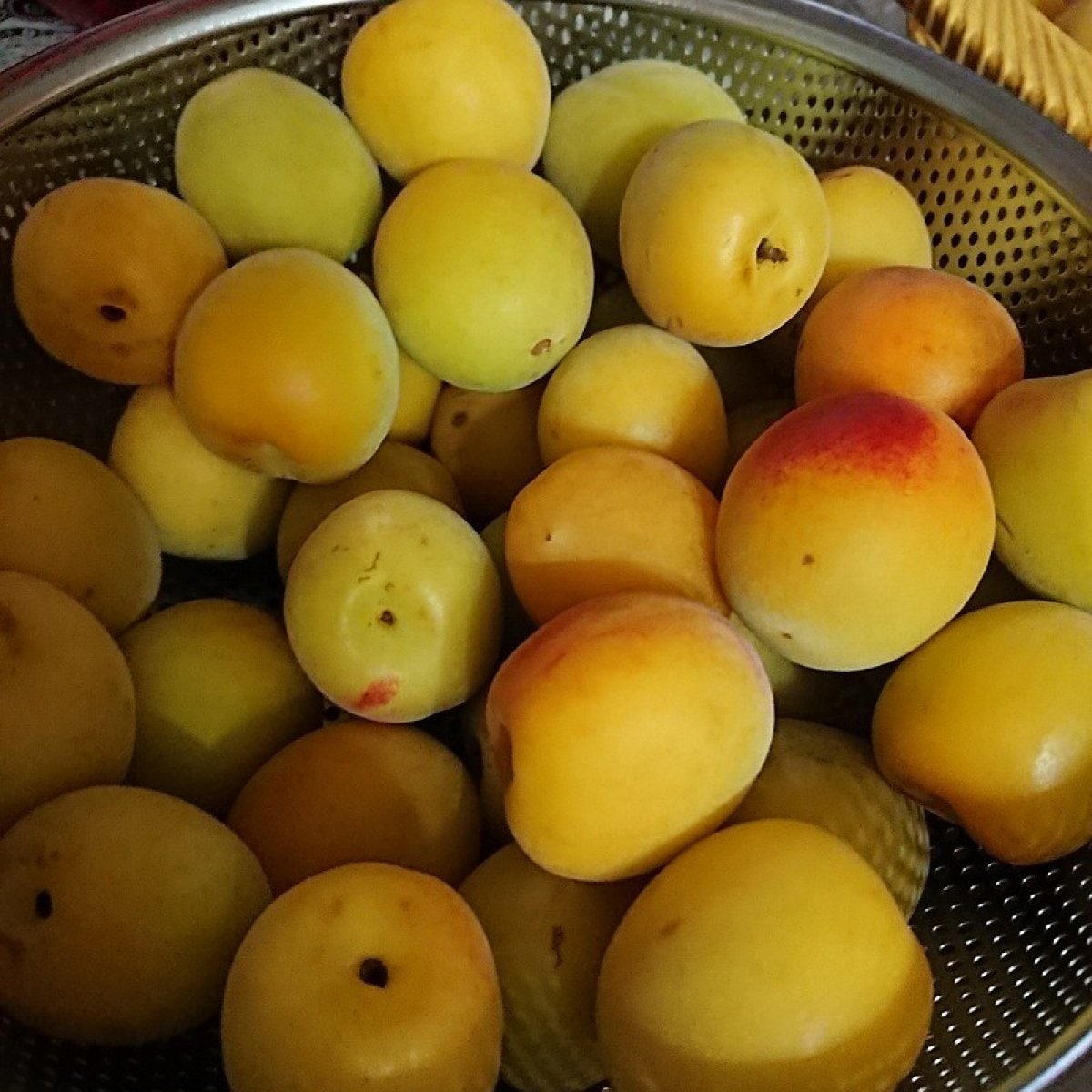 うめかしそ　オンライン使い方講座