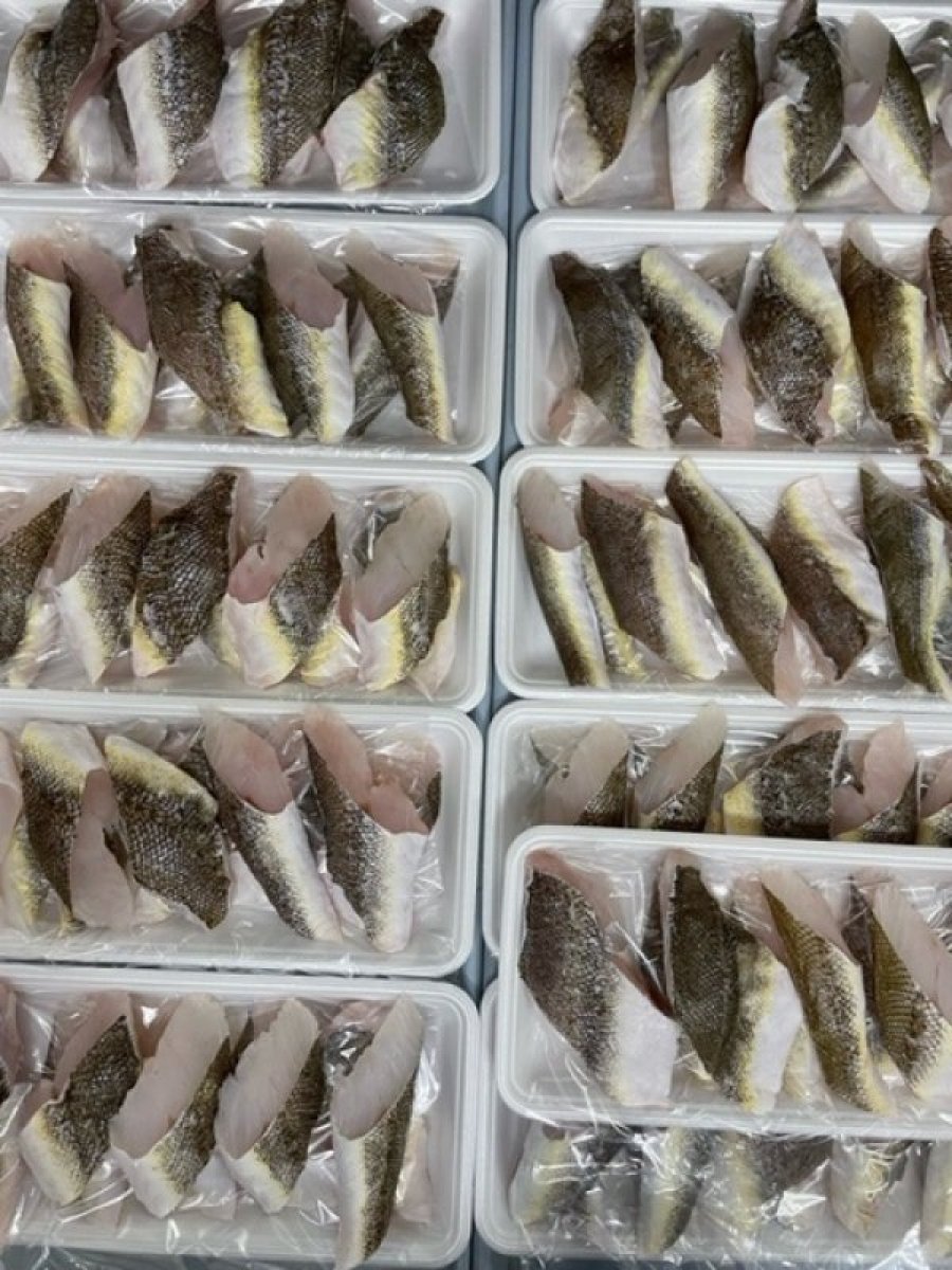 【業者様向け商品】地魚冷凍切身（おまかせ4種×２パック）お得セット