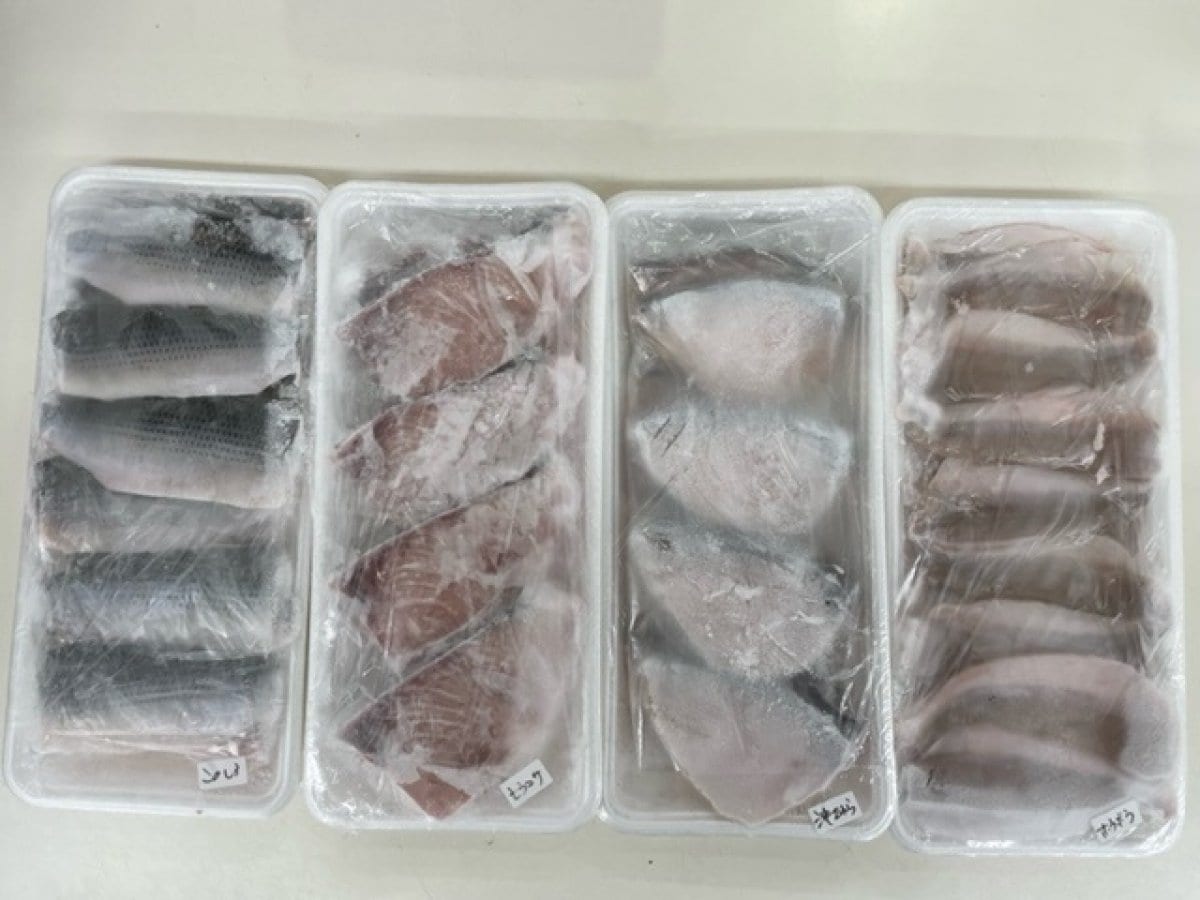 【業者様向け商品】地魚冷凍切身（おまかせ4種×２パック）お得セット