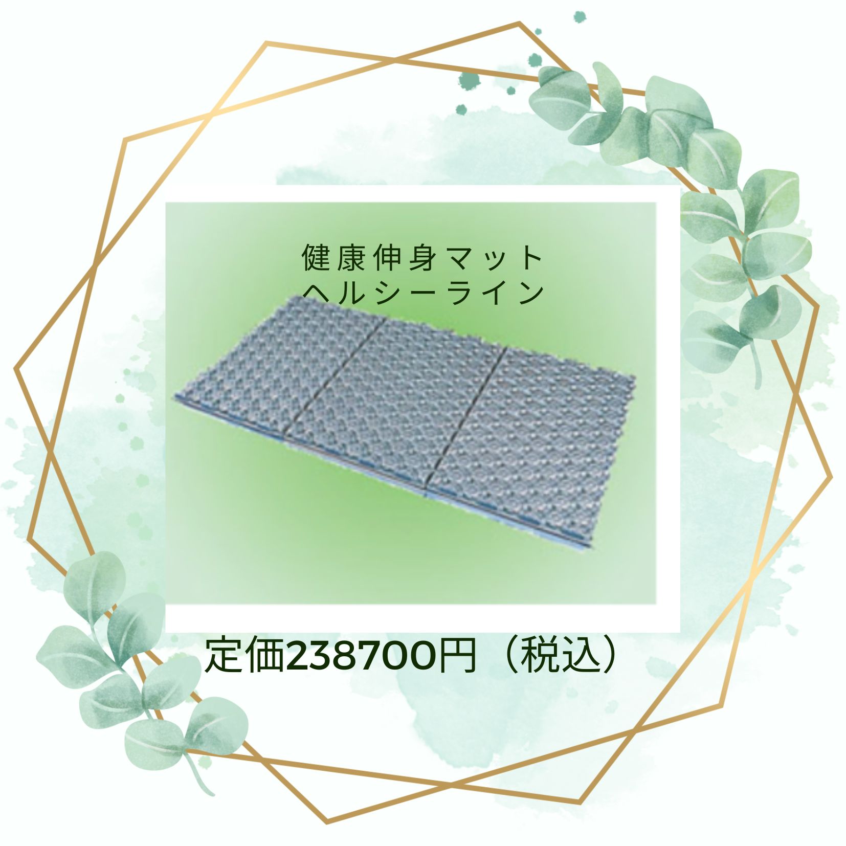 健康伸身マット ヘルシーライン シングル