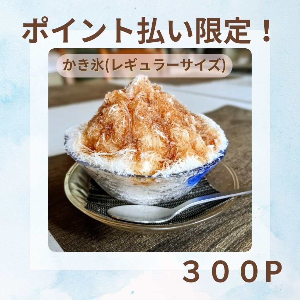 ✨ご来店様専用✨ ポイント払い限定チケット  かき氷（レギュラーサイズ）