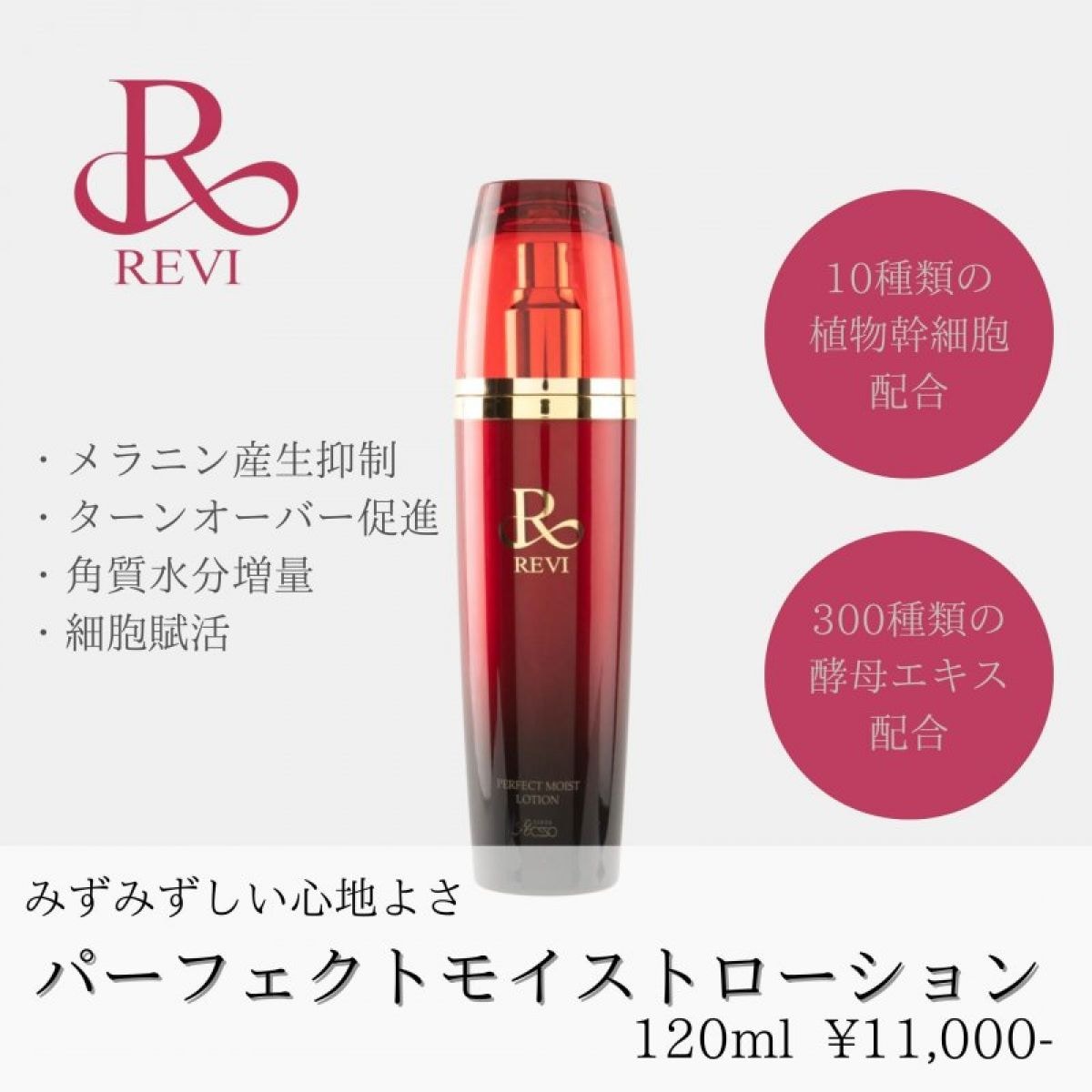 ルヴィ パーフェクト モイスト ローション 120ml・クリーム50ml ...