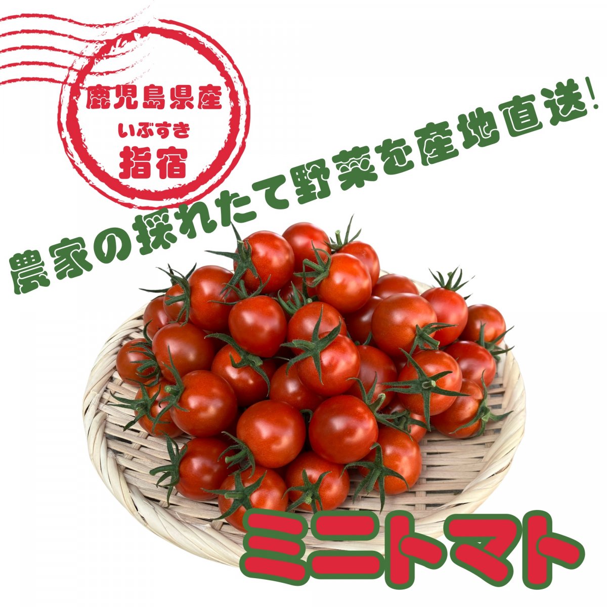 ミニトマト 10袋(1袋200g)｜鹿児島の澤山農園 新鮮なトマト・オクラ通販