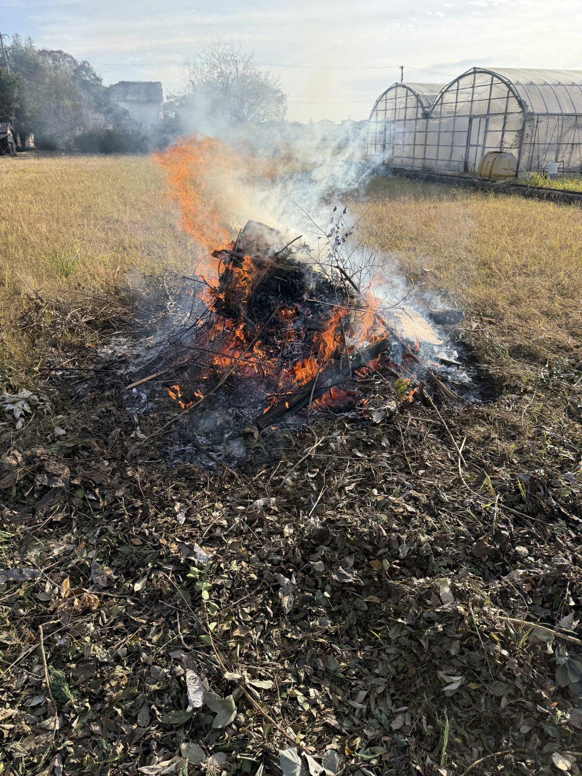【2025年6月14日(土)開催】農薬不使用栽培『紅はるか』サツマイモオーナー募集 （限定10組）