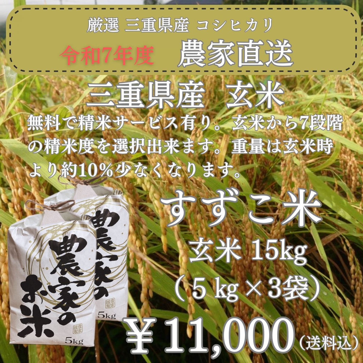 「減農薬 澁谷農園のすずこ米（コシヒカリ）」澁谷農園 10代目すずこが作った『すずこ米』令和7年度 三...