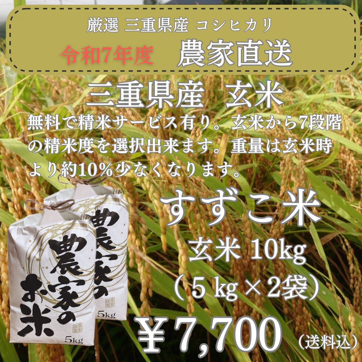「減農薬 澁谷農園のすずこ米（コシヒカリ）」澁谷農園 10代目すずこが作った『すずこ米』令和7年度 三...